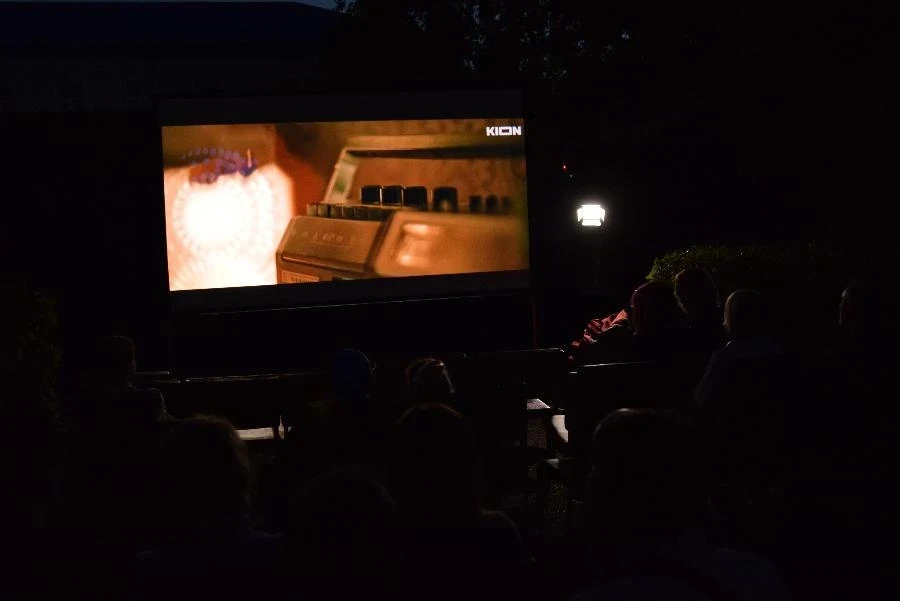 2 июля - Анимационные короткометражки в кинодворике «Енисей кино»