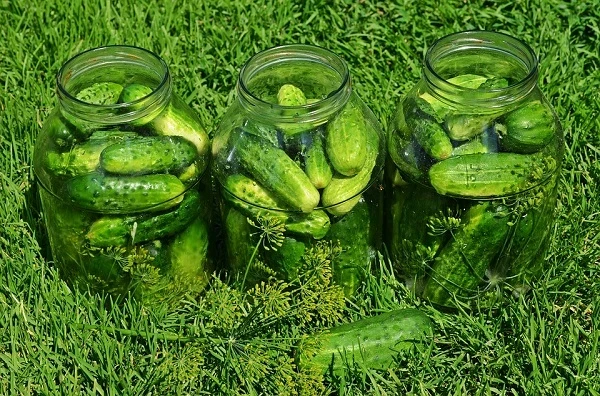 cucumbers-849268_960_720.jpg cucumbers-849268_960_720.jpg