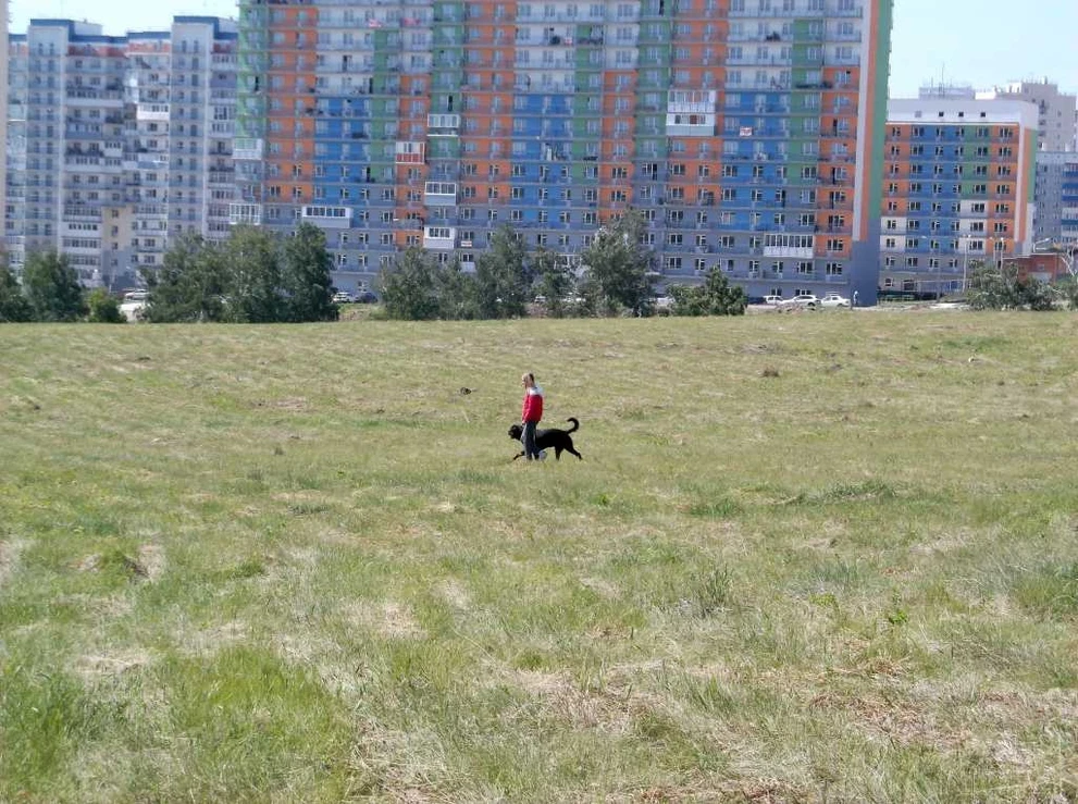 DSCF5843.JPG