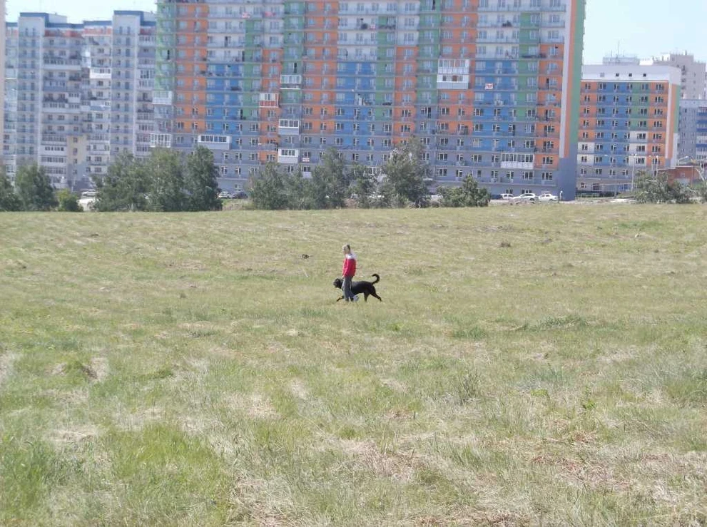 DSCF5843.JPG