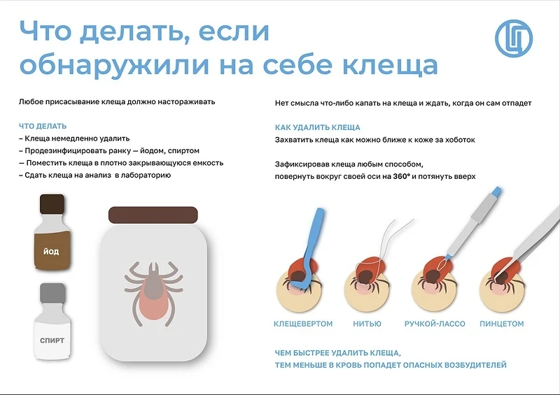 Klesh_Obn_s.jpg