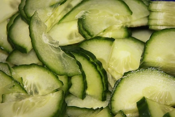 cucumbers-1495836_960_720.jpg cucumbers-1495836_960_720.jpg