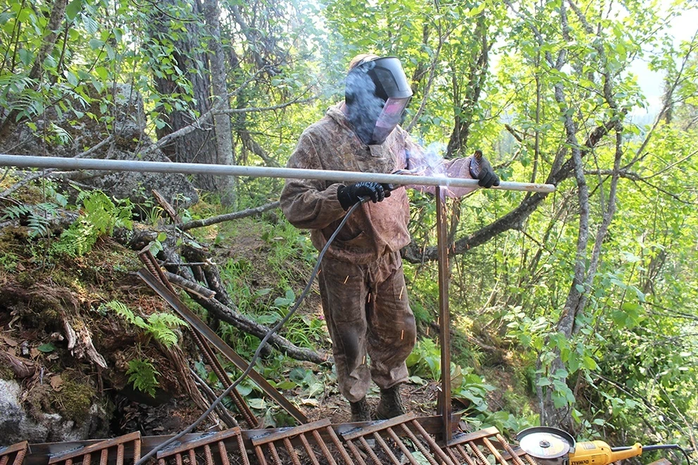 IMG_4121.JPG IMG_4121.JPG