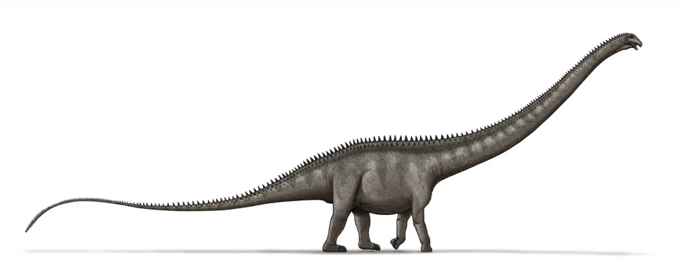 Суперзавр Supersaurus_dinosaur.png