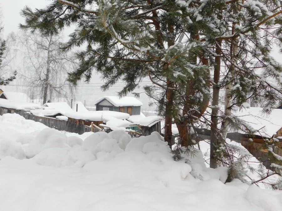 Прогноз погоды в Красноярске на 24 февраля