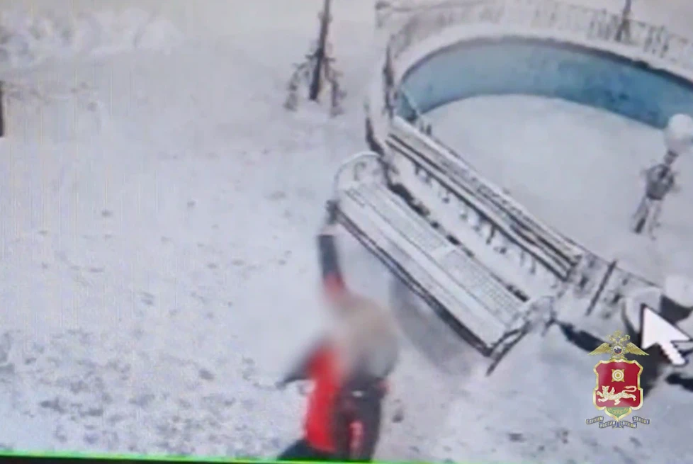 Жительнице Хакасии вынесли приговор за стрельбу возле бара