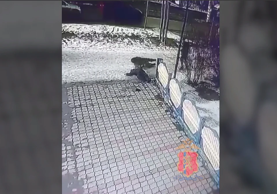 В Красноярском крае задержали ачинца среди белого дня, уложившего двоих мужчин 
