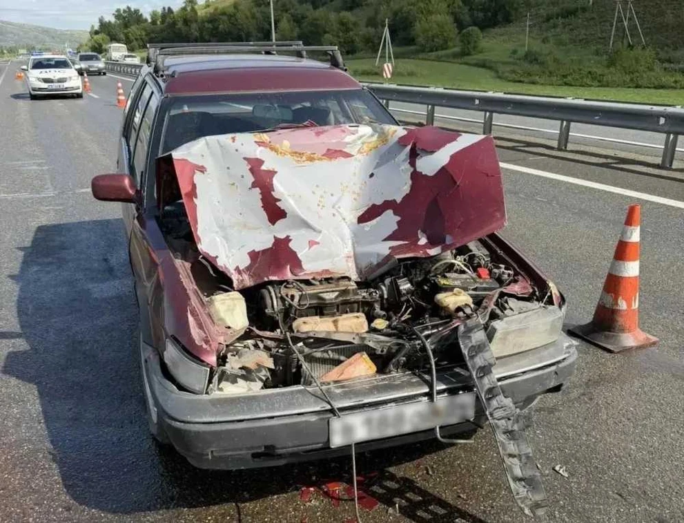 На Алтае водитель влетел в дорожную технику вместе с ребёнком в машине