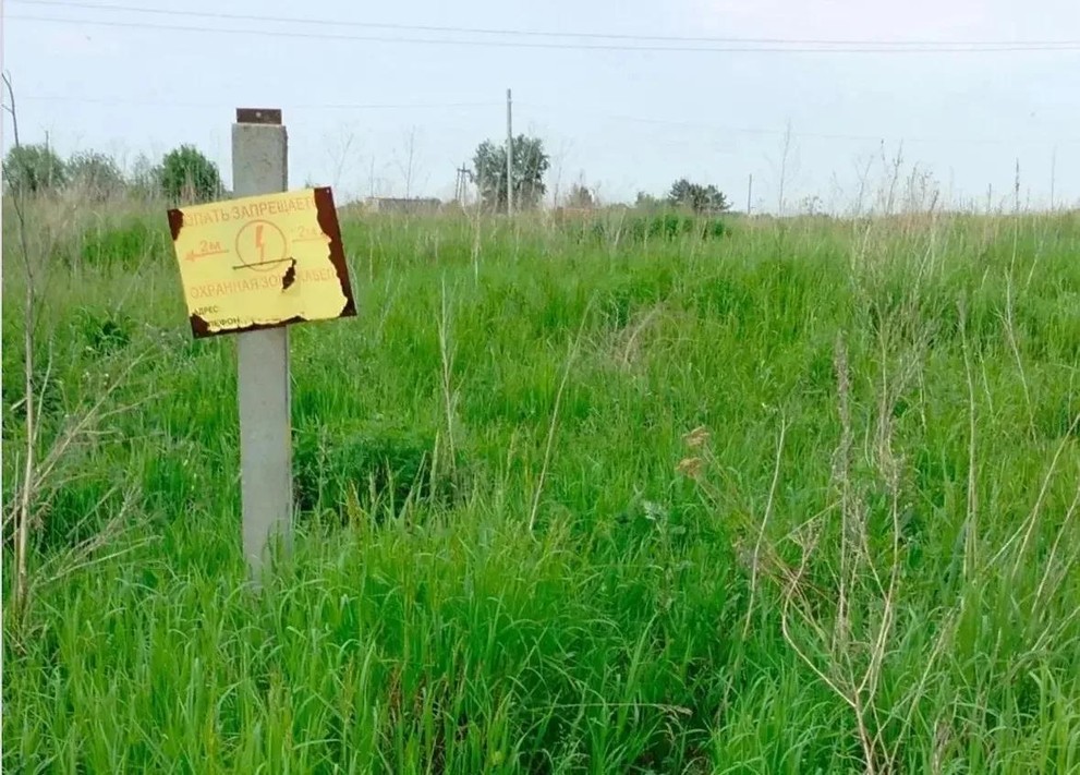 Многодетной семье из Красноярского края дали участок, на котором нельзя строить