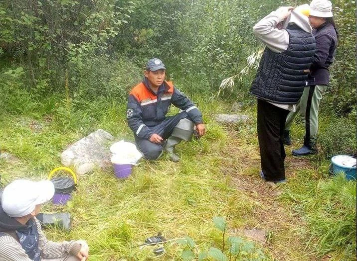 В Туве в тайге нашли заблудившихся грибников  