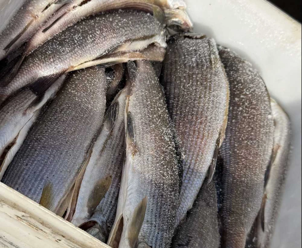 На красноярском рынке обнаружили опасную рыбу