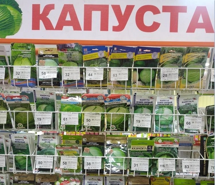 В Барнауле нашли семена-невидимки