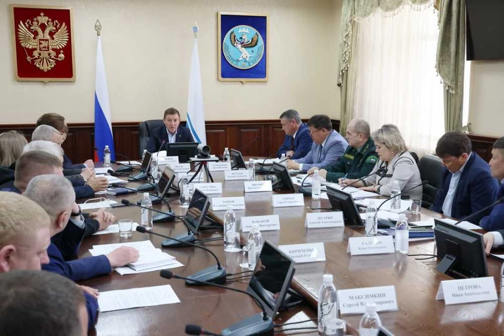 В Республике Алтай усилят работу в лесной отрасли