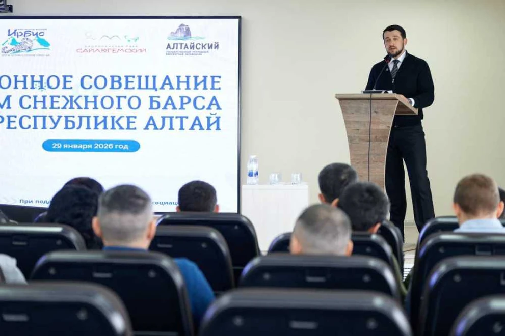 В Республике Алтай проведут учёт снежных барсов
