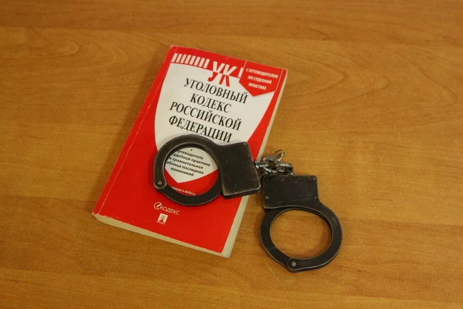 В Красноярском крае нашли злостную алиментщицу, которая задолжала своим детям без малого миллион
