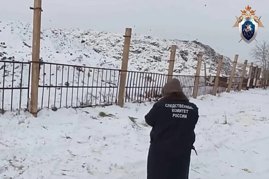 В Иркутской области стая диких собак загрызла взрослого мужчину