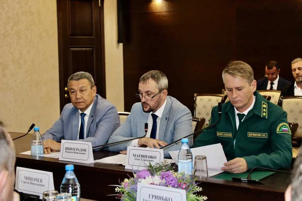 Вдоль трасс Хакасии массово гибнут вязы
