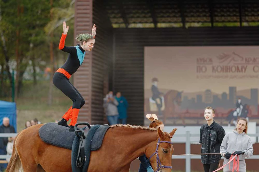 11 спортсменов вышли в финал Кубка Красноярска по конному спорту