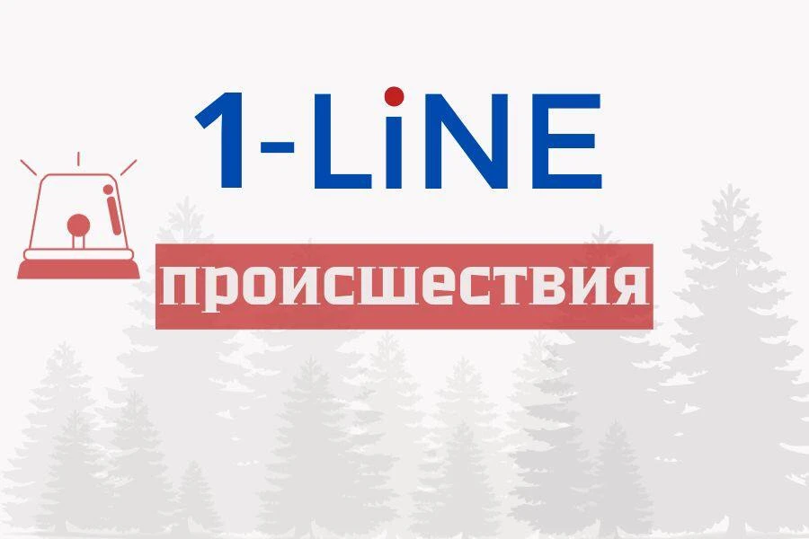В Иркутской области застрелили медведя, выходившего к людям ❗️