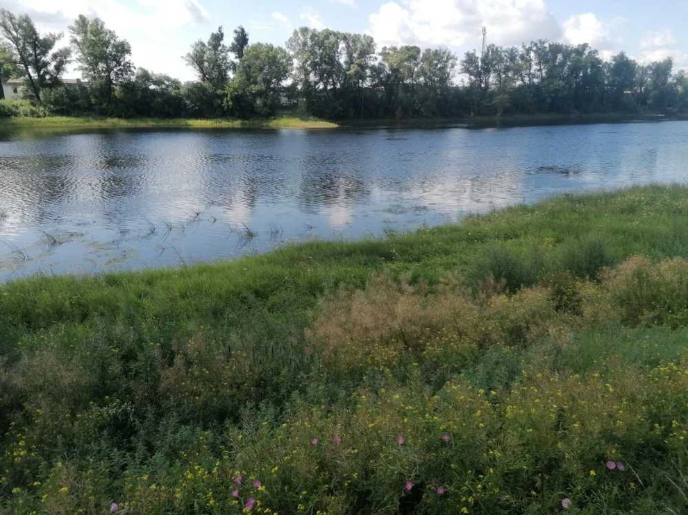 В Красноярском крае из-за предстоящих дождей ожидается рост уровня воды