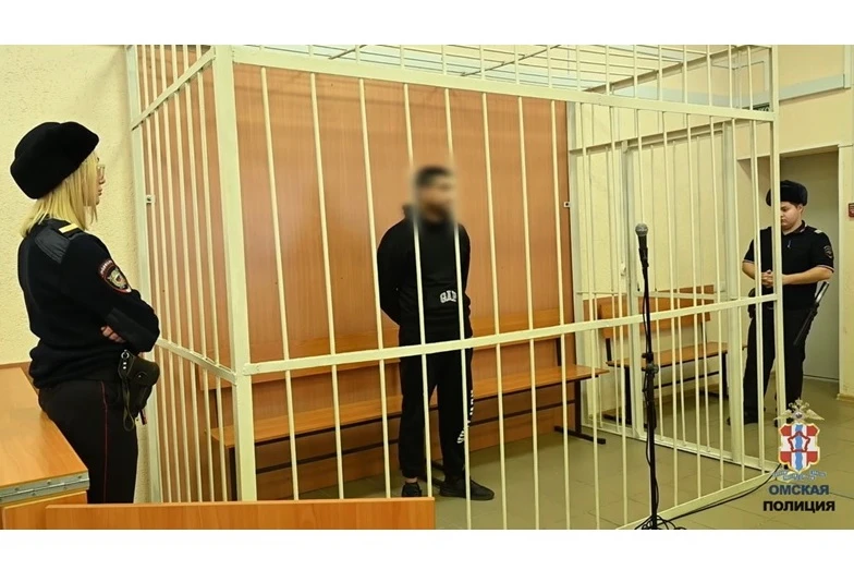 В Омске в СИЗО отправлены вымогатели, напавшие на таксиста
