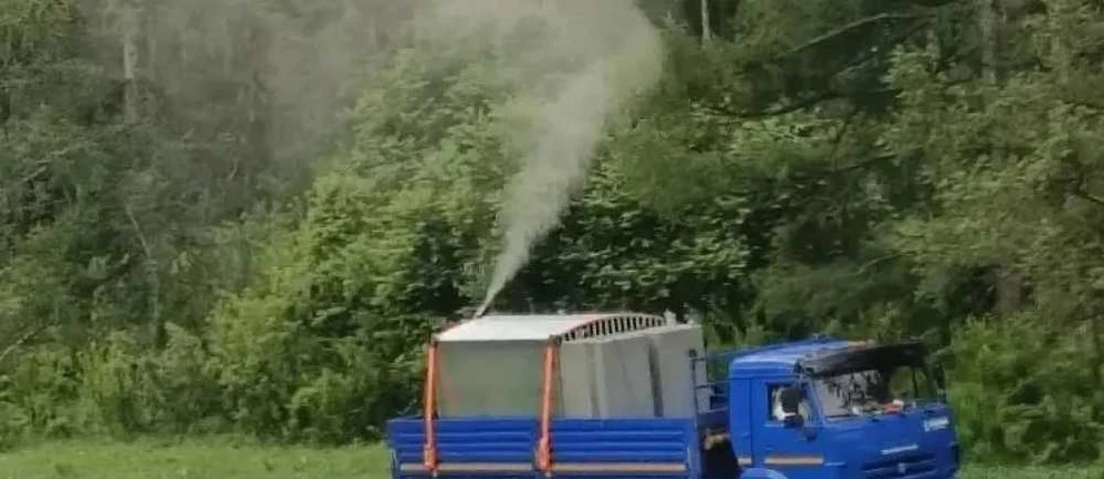 В Республике Алтай начали спасать леса от прожорливого вредителя