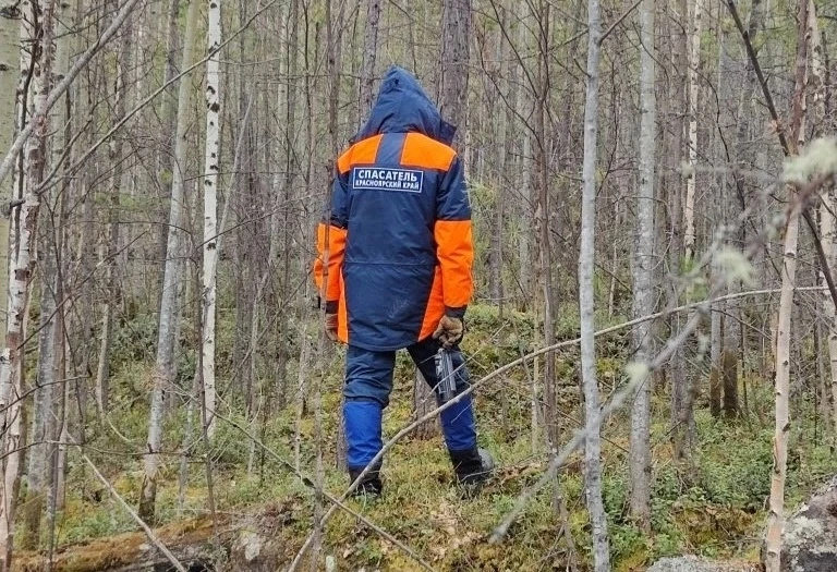 В Красноярском крае спустя 8 месяцев возобновлены поиски семьи Усольцевых