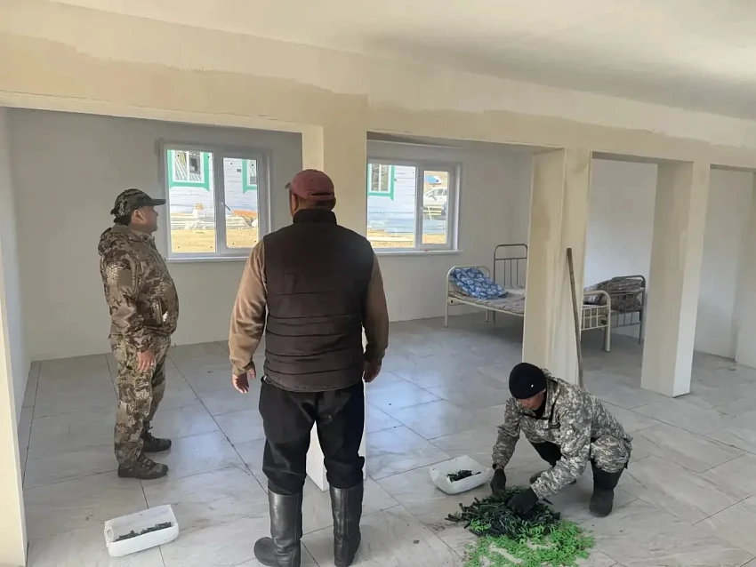В Туве готовят лагеря к лету: «Сайлык» откроется после ремонта