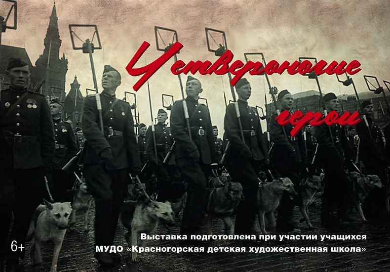 Московский Музей Победы открывает выставку о подвигах собак в посёлке в 320 км от Красноярска