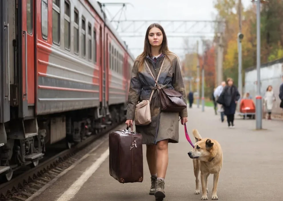 11% сибиряков берут домашних животных с собой в путешествия