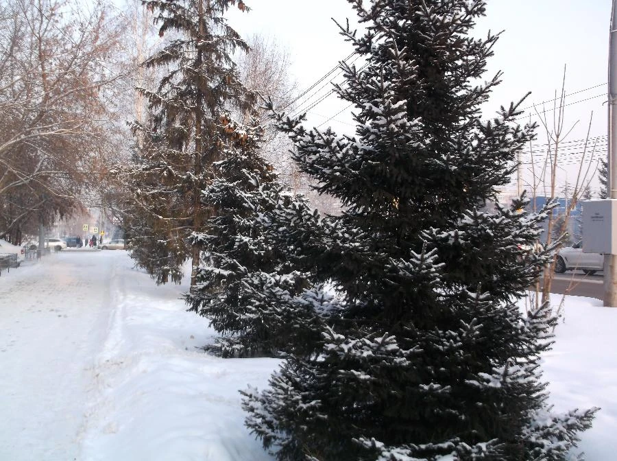 Прогноз погоды в Красноярске на 17 февраля