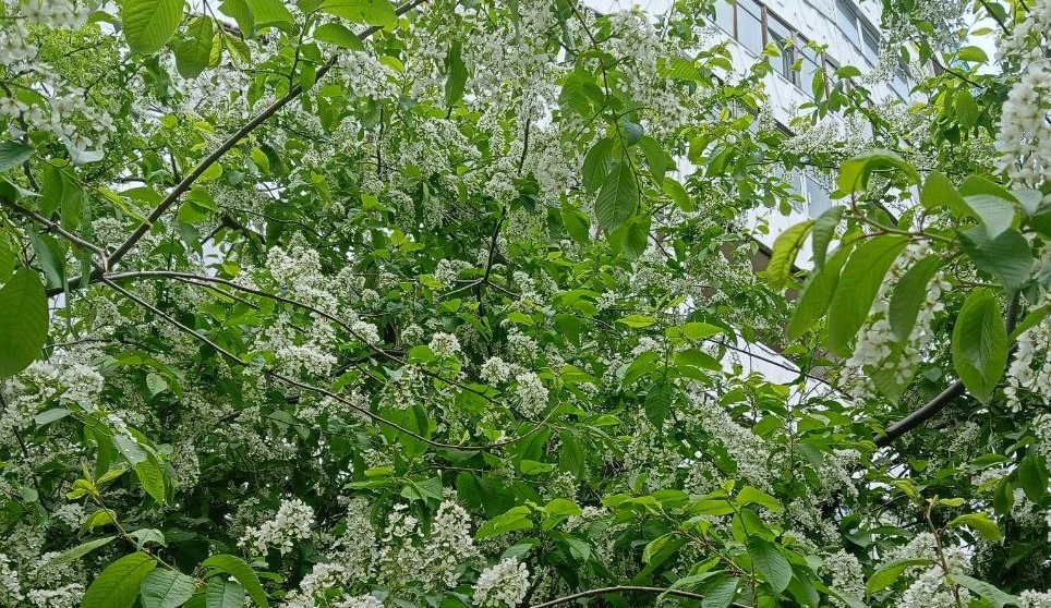 Прогноз погоды в Красноярске на 3 мая