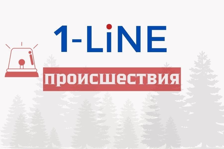 В Томске в пожаре сгорели памятники и человек
