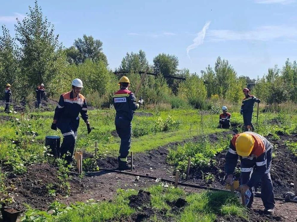 В Новокузнецке начали создавать искусственные почвы из промышленных отходов  