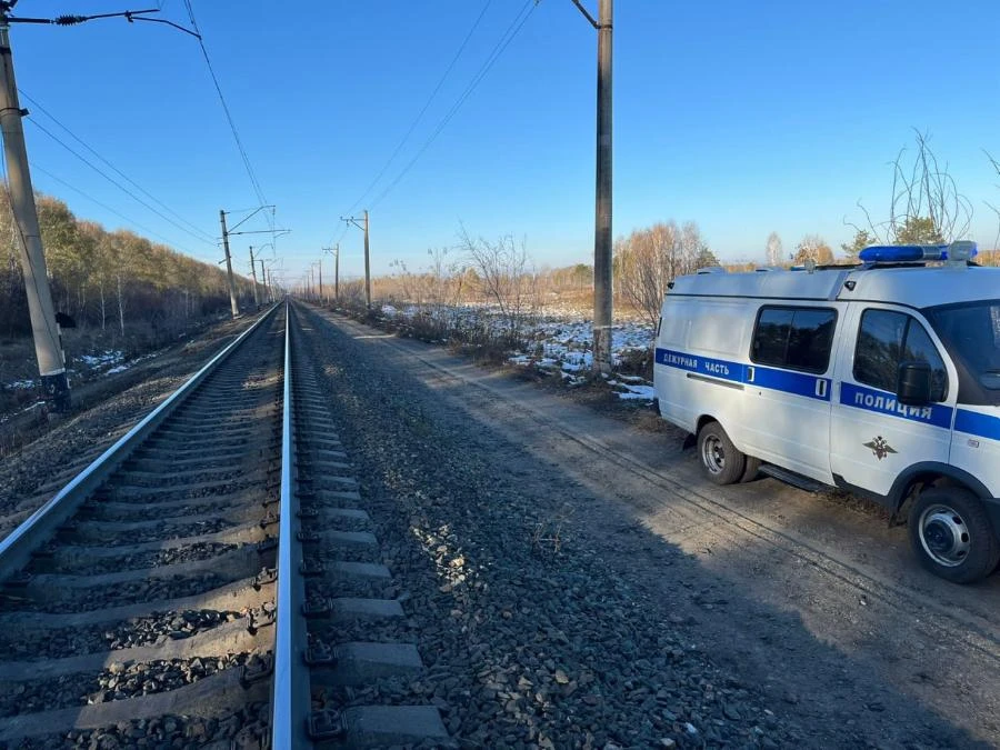 В Алтайском крае поездом травмирован мужчина