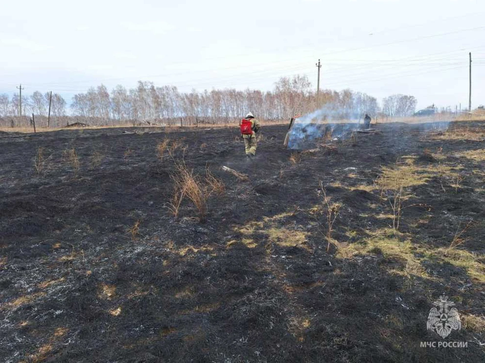 В Красноярском крае зарегистрировано 2 пала сухой травы 