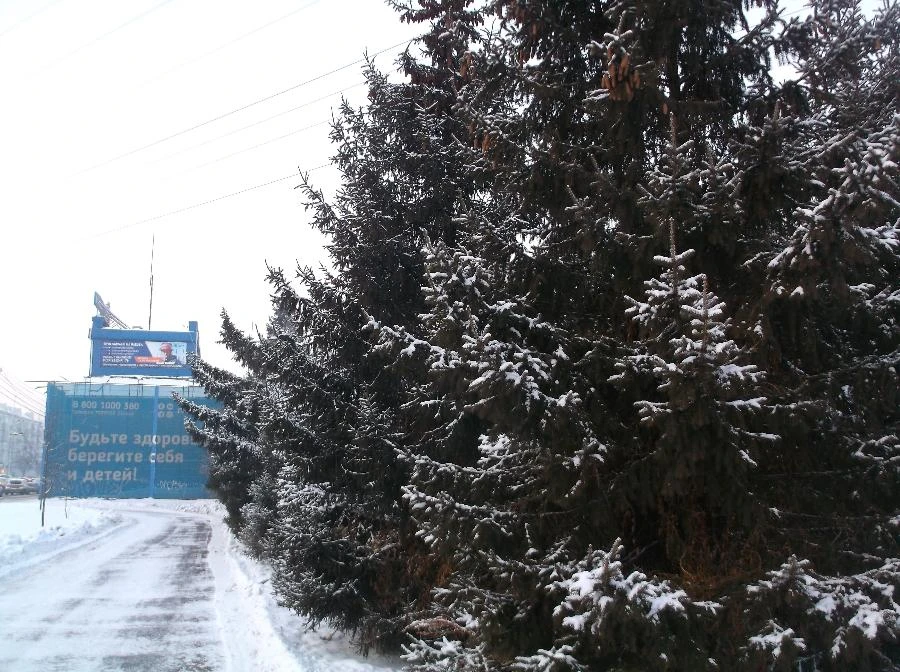 Прогноз погоды в Красноярске на 1 марта