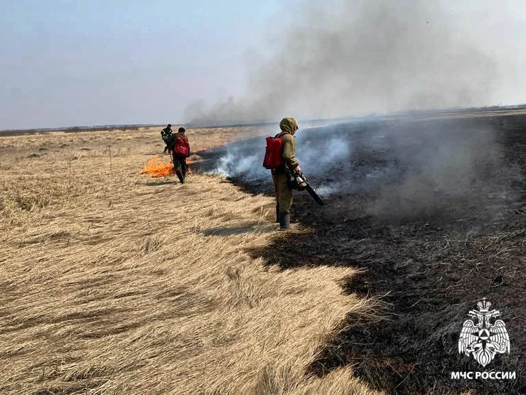 В Новосибирской области за сутки произошло больше 100 пожаров