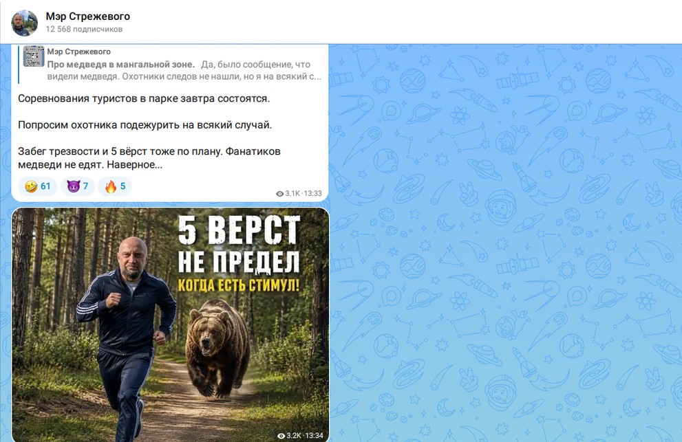 В Стрежевом Томской области из-за медведя в городе запретили детям походы в лес