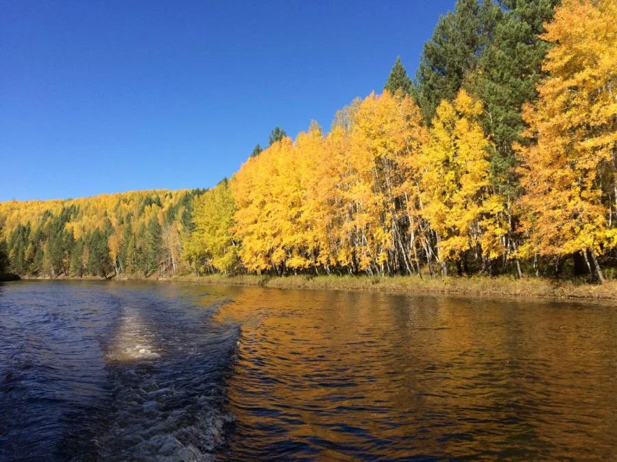 В одном из районов Иркутской области по требованию прокуратуры создадут охотничью инфраструктуру