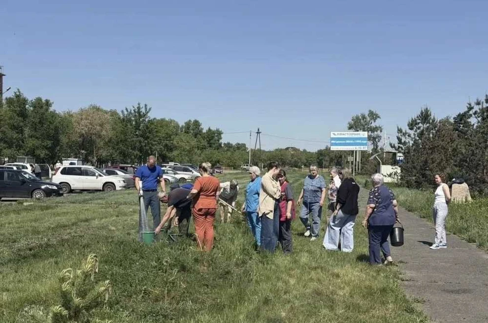 Хакасия становится зеленее: у больницы в Черногорске высадили сосны