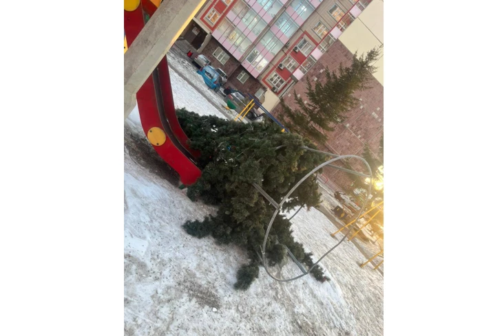 Ночной ветер в Красноярске повалил деревья