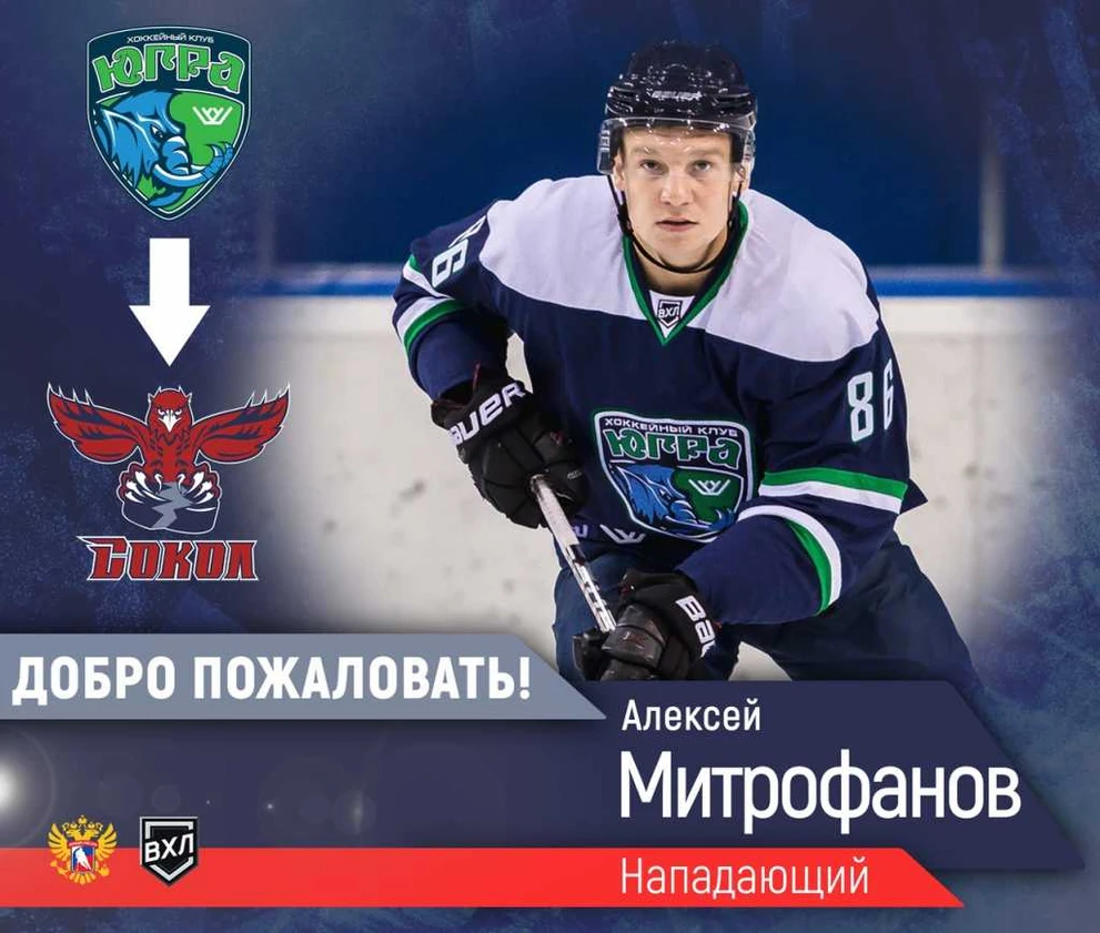 Сокол 2.jpg
