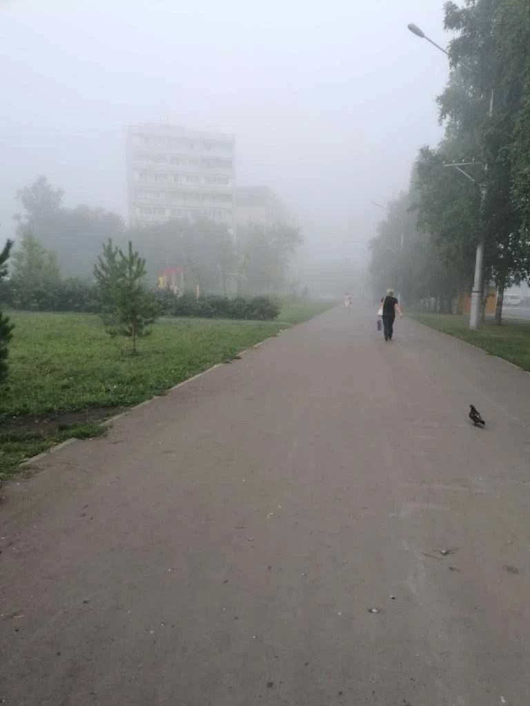 туман-2.jpg туман-2.jpg