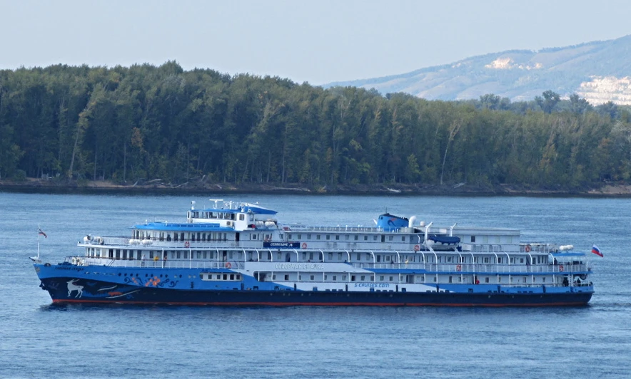 294542.jpg