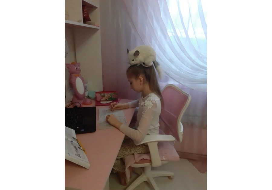шиншилла.jpg шиншилла.jpg
