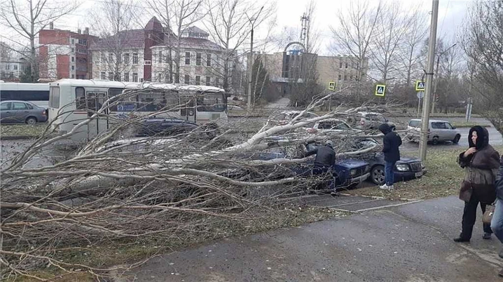 Последствия ветра 4.jpg