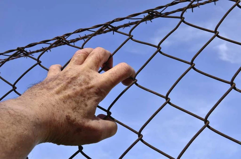 СИЗО barbed-wire-1408454_1280.jpg