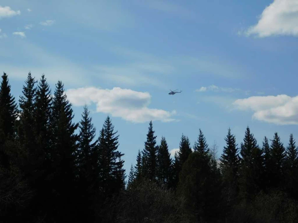 DSCN6709.JPG
