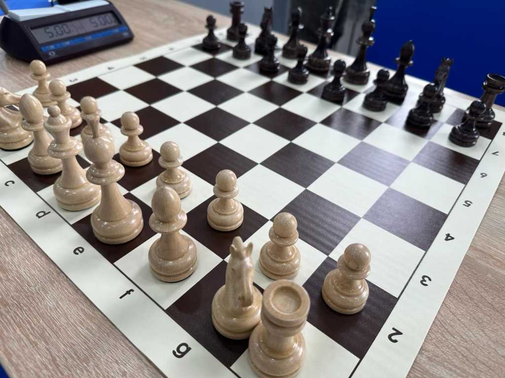 Изображение WhatsApp 2024-03-12 в 12.24.56_217814be.jpg